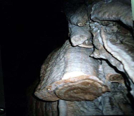 استالاكتيت ها در غار اسپهبدان