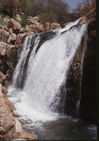آبشار چکان